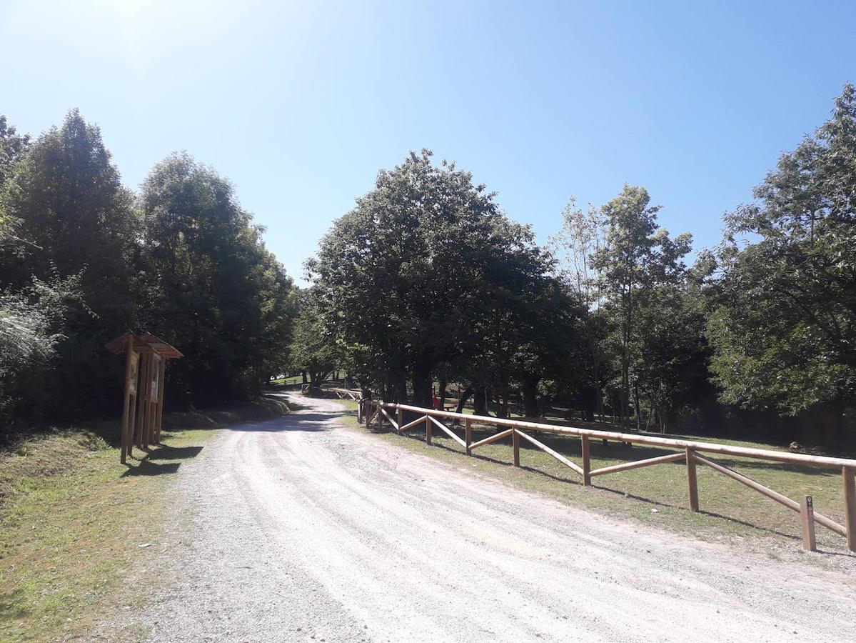 Ruta de los Covarones del río Tuernes