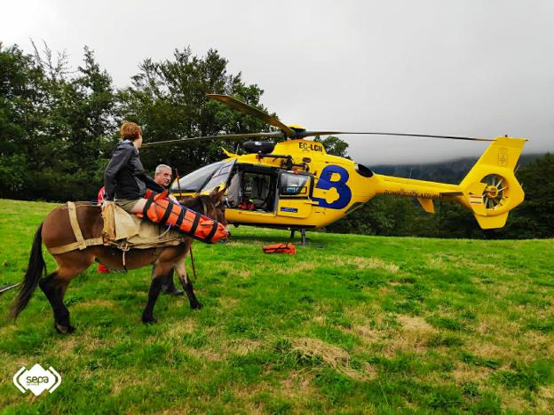 Un pongueto ayuda con su mula a trasladar a una mujer herida hasta el helicóptero