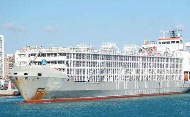 Desaparece un barco con 43 tripulantes y 5.800 cabezas de ganado en aguas de Japón