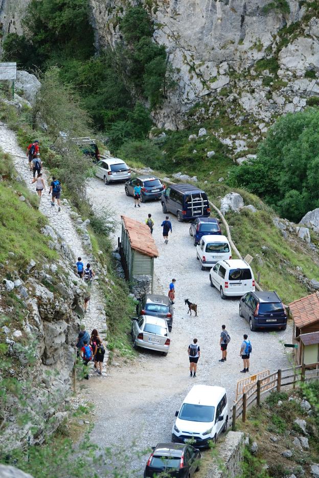 El Principado probará durante cuatro días un bus entre Arenas de Cabrales y Sotres