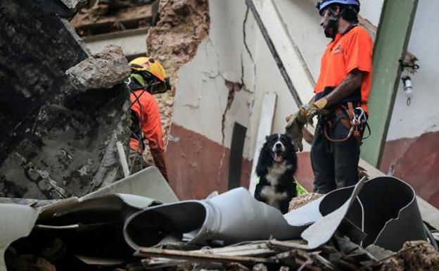 Un bebé podría seguir vivo bajo los escombros un mes después de la explosión en Beirut