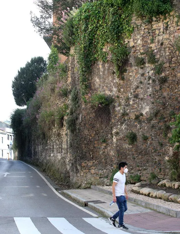 La muralla medieval a su paso por la calle Paraíso. / ALEX PIÑA