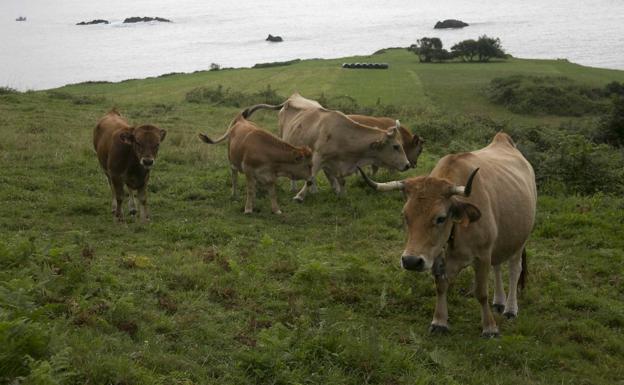 Una encuesta para perfilar el futuro del campo
