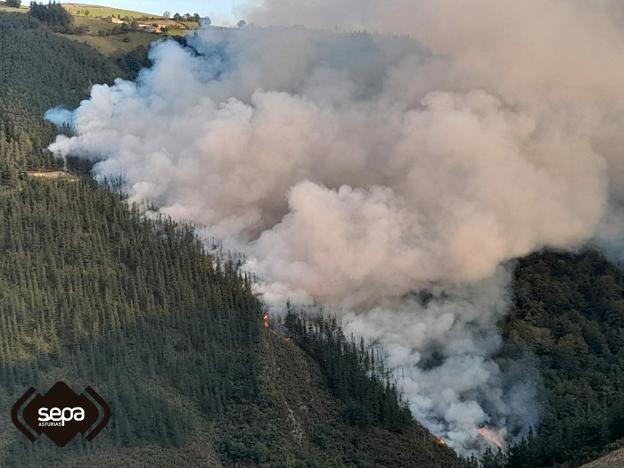 Un fuego en un pinar del núcleo cangués de Tabladiello activa el plan contra incendios