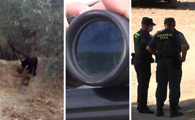 La pantera negra de Granada, una historia que podría tener gato encerrado
