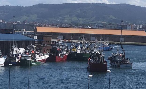 La costera del bocarte marca un récord histórico en la Lonja de Gijón