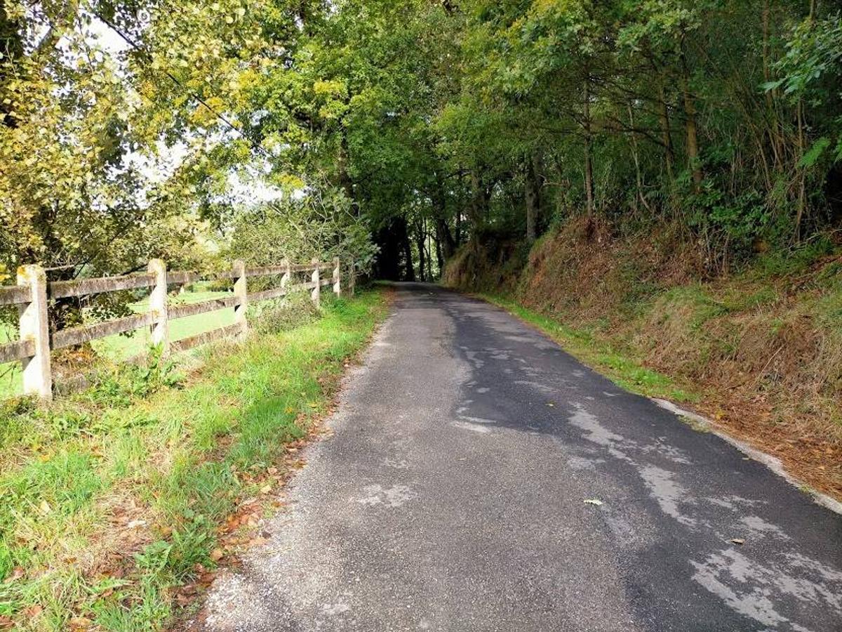 Un paseo otoñal hasta el Picu Castiello