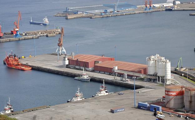 Cofiño, a Vox: «Ningún gobierno regional ha tenido que ver con la adjudicación de la obra de El Musel»