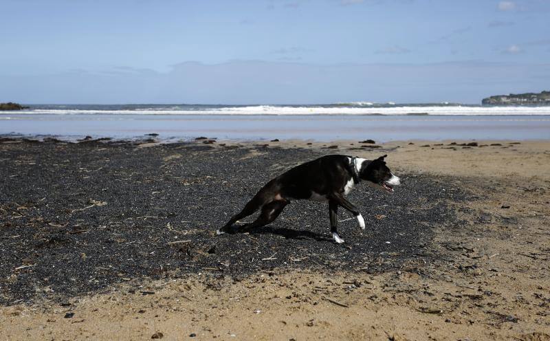 'Álex' se despide con un reguero de ocle y carbón en San Lorenzo