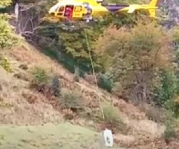 Rescatan en helicóptero a una vaca herida en los Picos