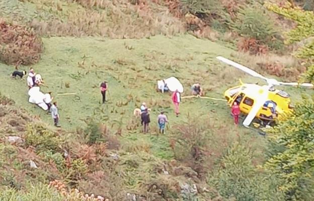 Rescatan en helicóptero a una vaca despeñada en Onís