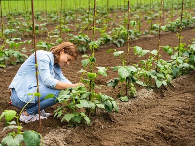 «La innovación en el mundo rural es una cuestión de actitud»