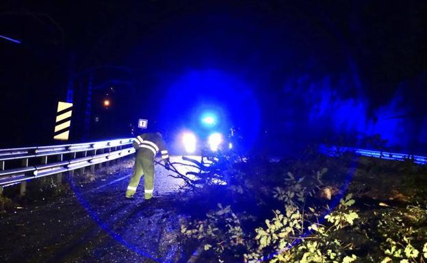 La caída de un árbol daña un vehículo y corta la N-634 en Parres