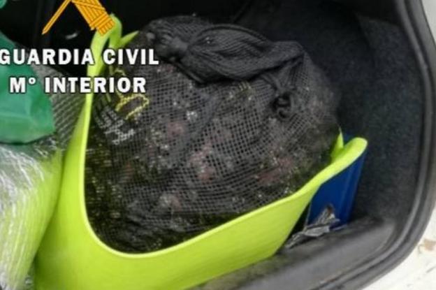 Pesca contará con una patrullera de veinte metros y drones para combatir el furtivismo