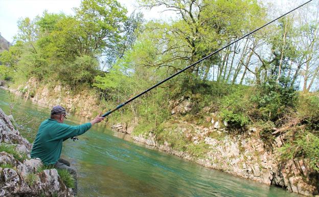 Los ecologistas piden al Principado que «sea valiente» con su normativa de pesca e incluya nuevas restricciones