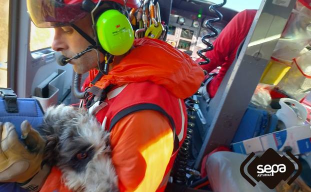 Rescatan a un hombre y a su perro herido en el pico Turbina, en Peñamellera Alta