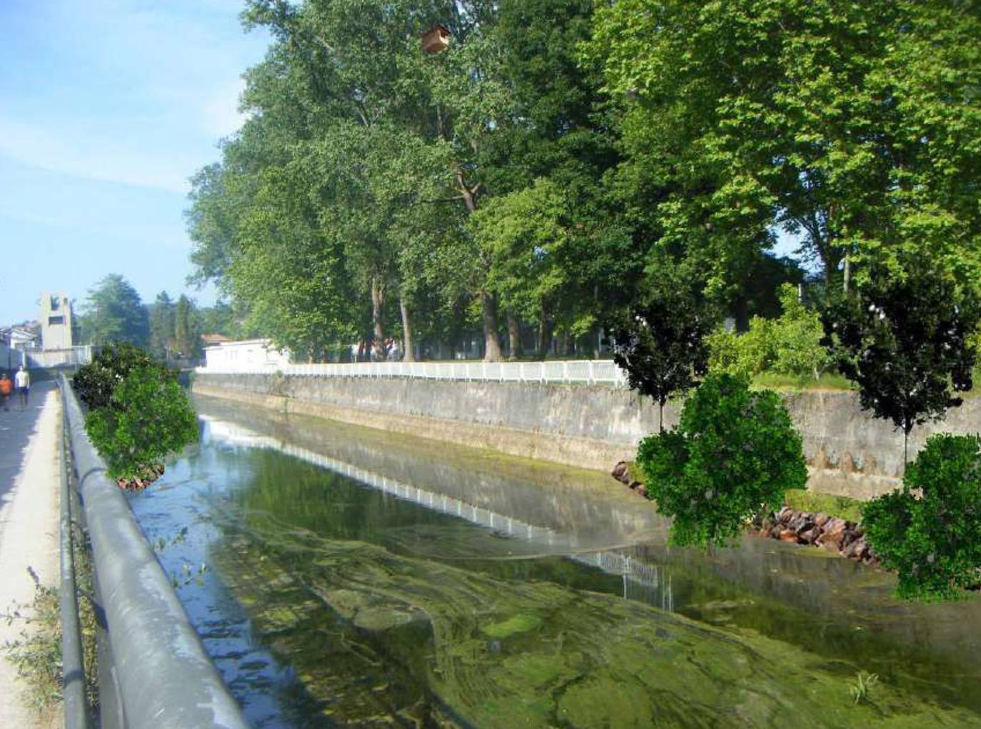Escolleras, alisos, fresnos y sauces para renaturalizar el cauce del río Piles