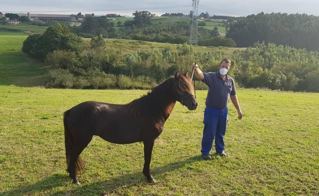 Asturcones de foto