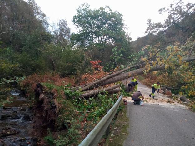 Tiempo en Asturias | Asturias registra vientos de hasta 132 kilómetros por hora