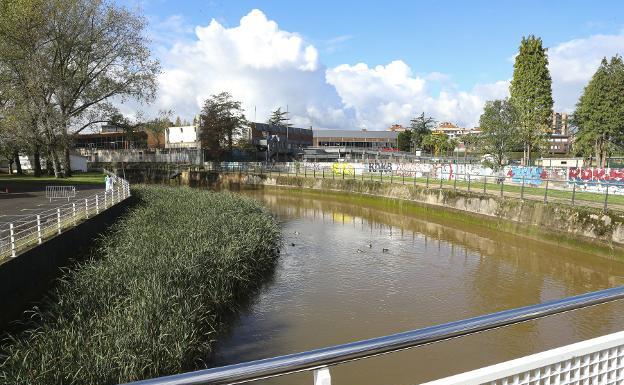 Un informe del Grupo dice que las toxinas del Piles proceden de la mar