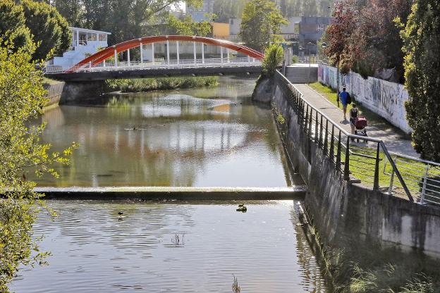 El informe del Grupo indica que las toxinas del Piles proceden de la mar y no son peligrosas