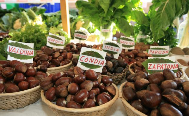 Parres suspende el Certamen de la Castaña ante la evolución de la pandemia