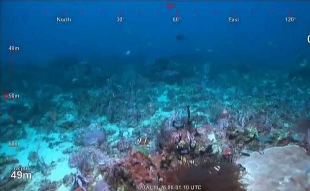 Vídeo: descubren en Australia un arrecife de coral de la altura del Empire State