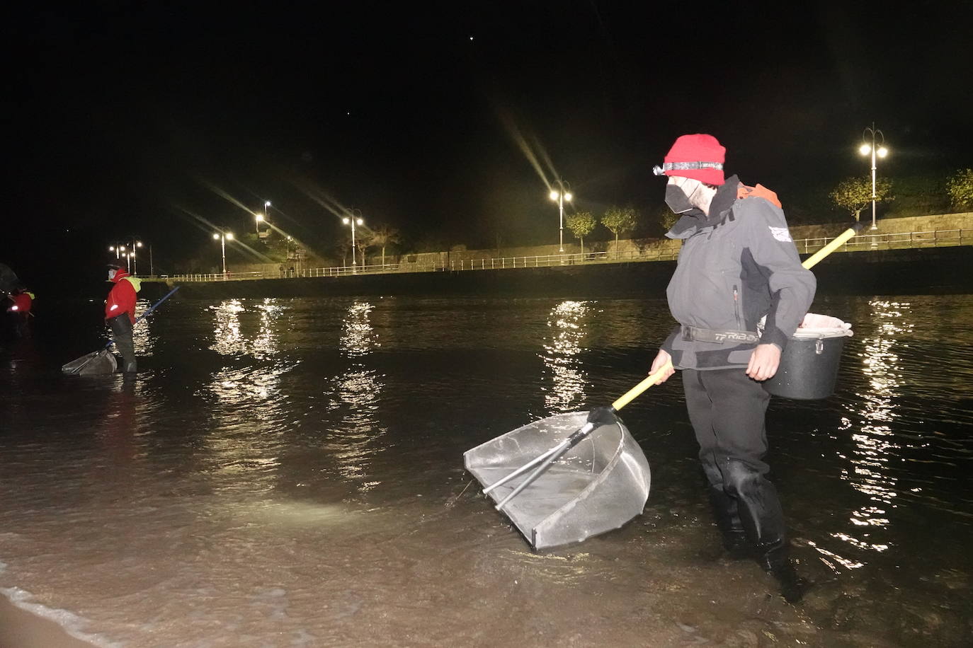 Comienza la campaña de angula en Ribadesella