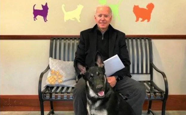 Joe Biden con Major el día que adoptó al perro en la protectora de animales de Delaware. /R.C.