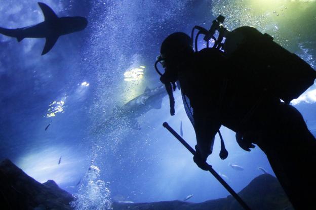 Los cuidados de un Acuario cerrado