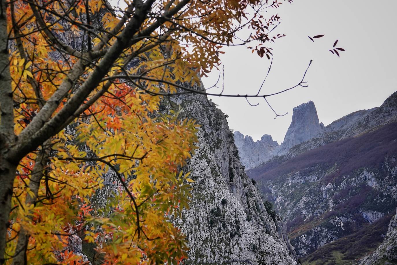 El impresionante otoño en los Picos de Europa