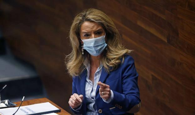 Mallada: «Con la ley Celaá el PSOE se sitúa fuera de la Constitución»