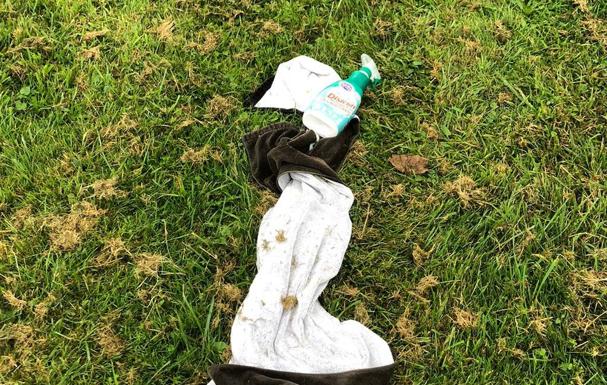 Amanece llena de basura la carbayera de El Tragamón, en Gijón