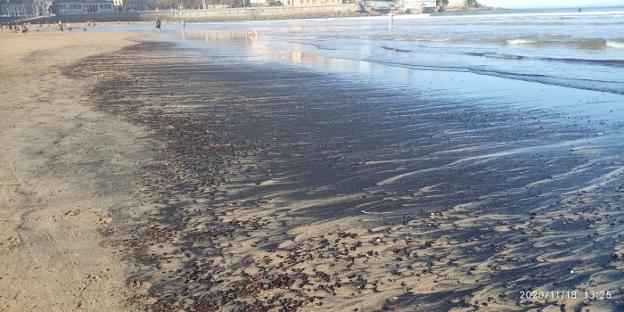 El carbón vuelve a teñir la playa de negro