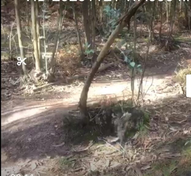 «Tenía mucha experiencia con la bici, debió de perder el control»