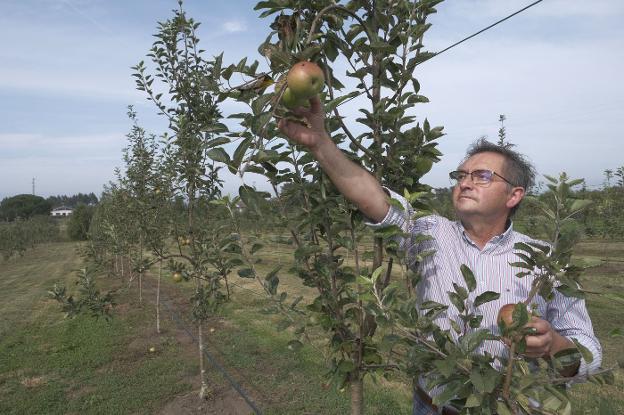 «Se nos ha quedado la mitad de la sidra sin vender»