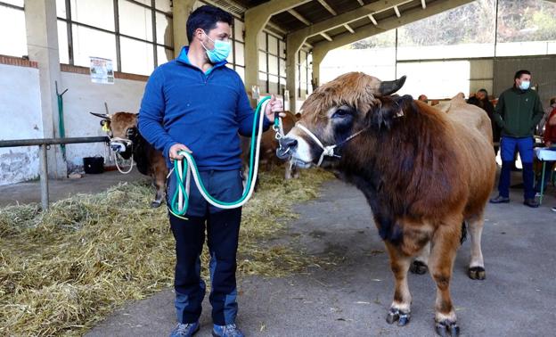 La crisis sanitaria lastra los precios de los sementales casinos