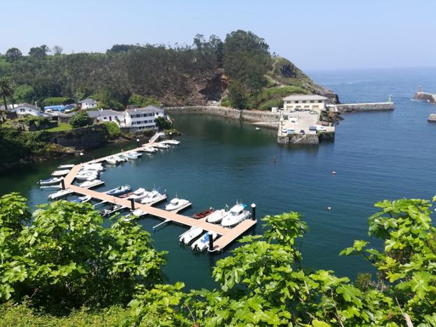 «Las embarcaciones peligran, están quedando prácticamente sin calado en mareas bajas»
