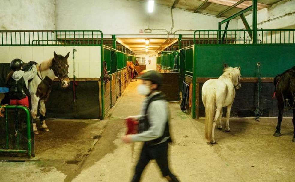 Un obstáculo para la hípica