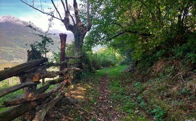¿Qué se puede hacer en Asturias durante el puente de diciembre?