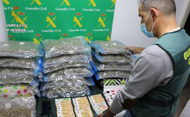 Incautan 236 kilos de marihuana tras desmantelar la plantación en un chalet de Castrillón