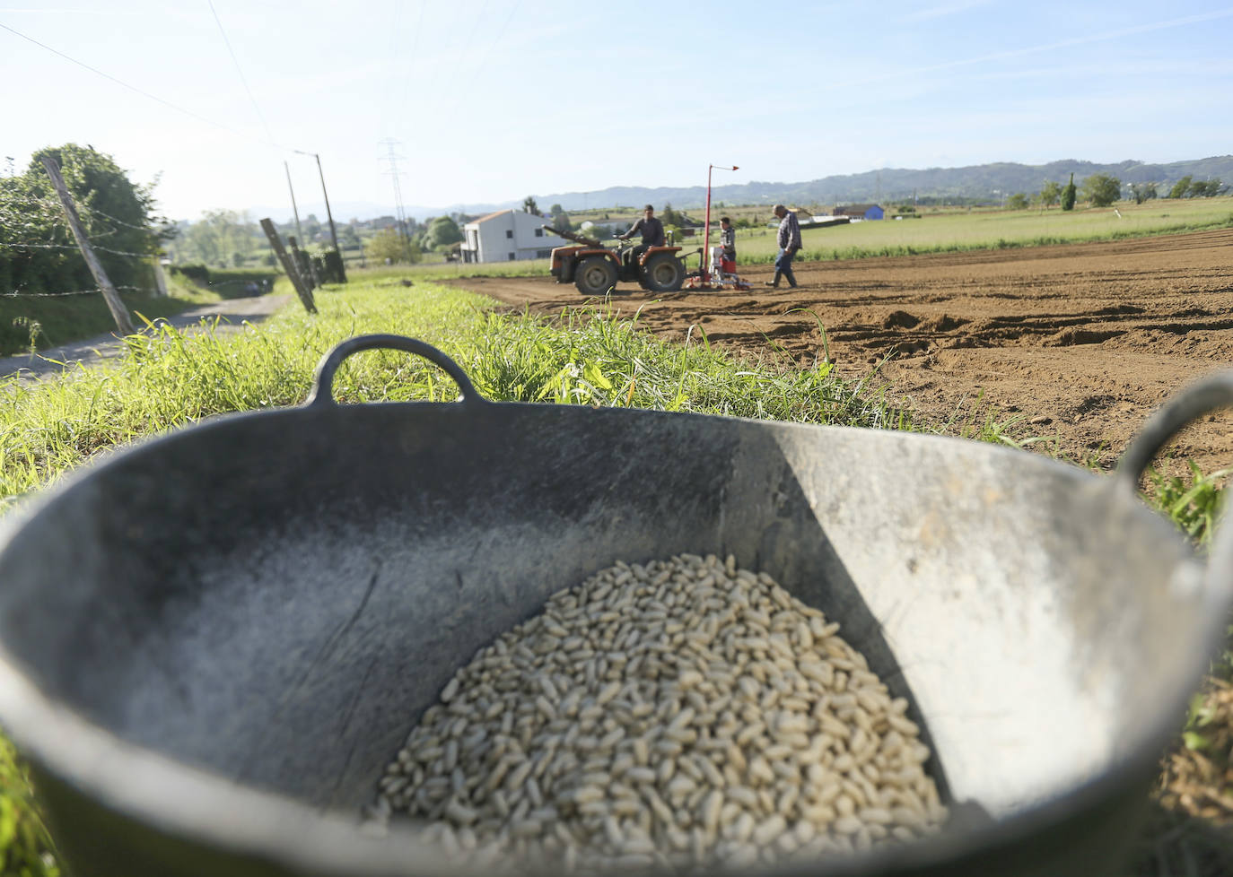 El Principado aprueba 9,3 millones de euros para ayudas a los sectores agroalimentario y forestal