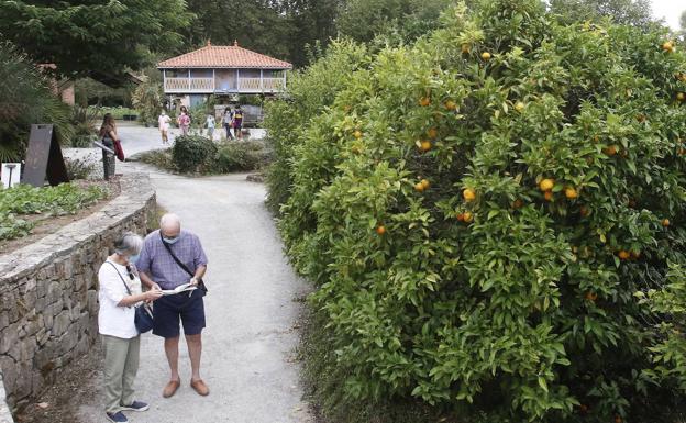 El Jardín Botánico de Gijón mantendrá las mismas tarifas de acceso al recinto