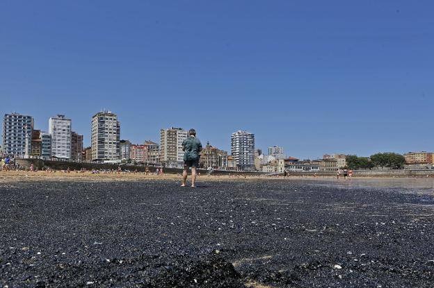 El Consistorio escuchará a los geólogos antes de pedir más recortes al carbón en El Musel