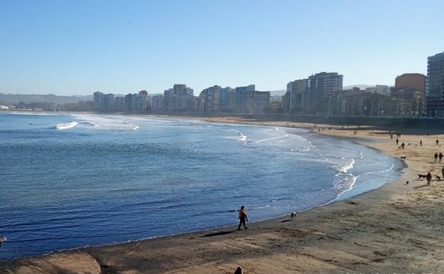 El Principado revisará los permisos del carbón en El Musel para atajar las manchas en la playa