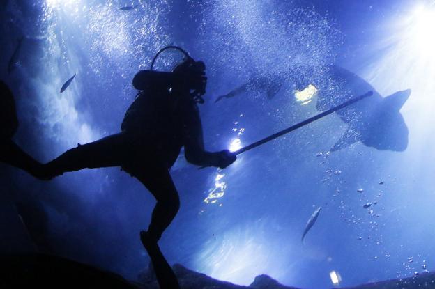 El Acuario incorporará un centro de investigación