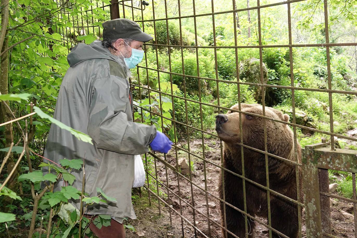 El zoo La Grandera de Cangas de Onís comienza a vender sus animales porque no puede pagar su comida