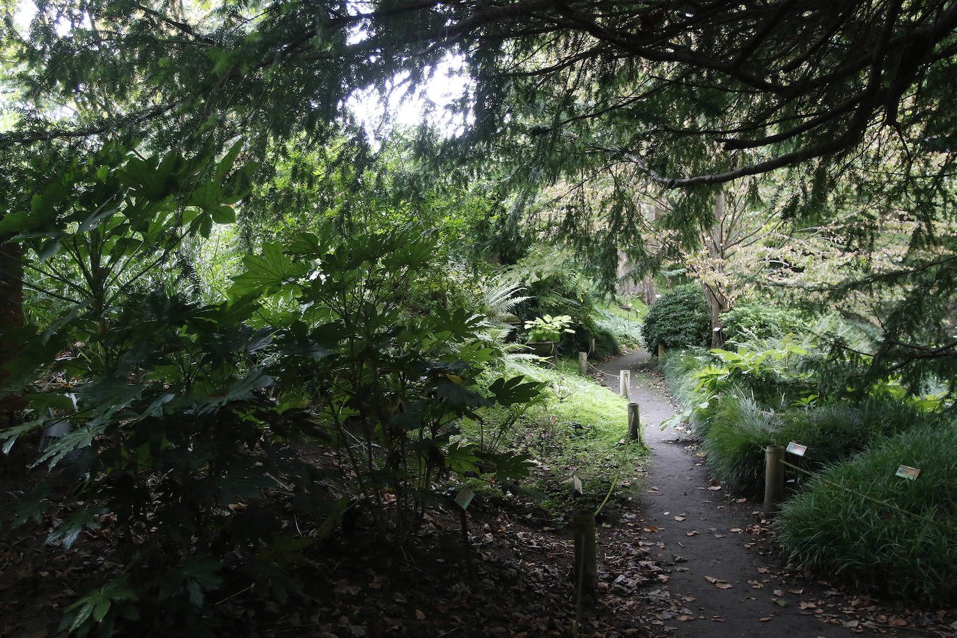 El Centru de Terminoloxía Asturiana publica la 'Termiloxía de Botánica'