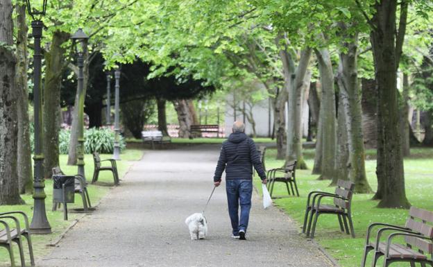 36.000 euros para renovar un centenar de bancos y papeleras en Avilés