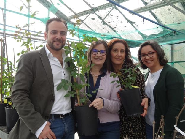 El CSIC selecciona el plan de recuperación de la rosa Narcea para su uso en perfumería